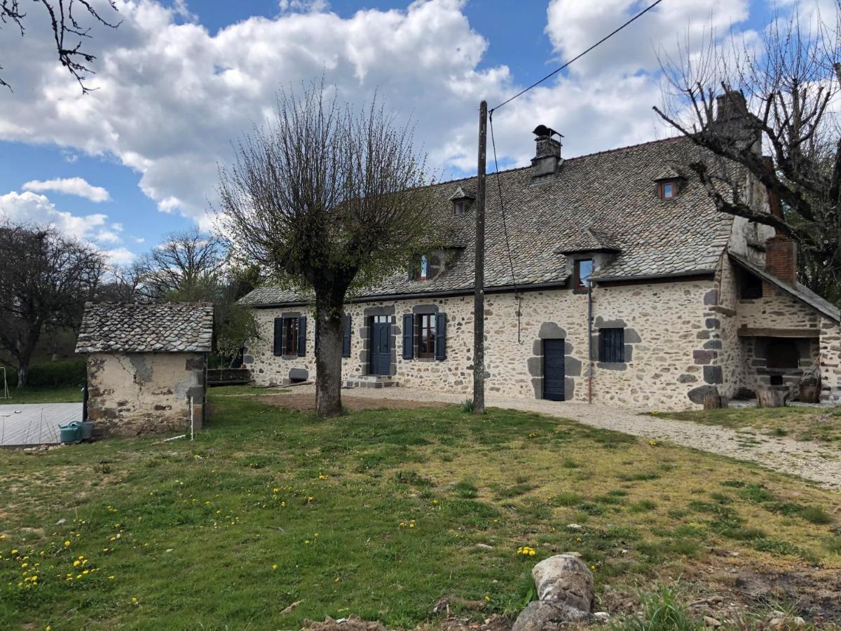 Maison typique Auvergnate, piscine et four à pain Saint-Christophe-Les-Gorges Exterior foto