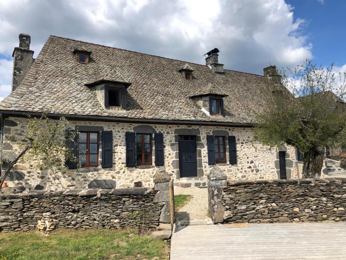 Maison typique Auvergnate, piscine et four à pain Saint-Christophe-Les-Gorges Exterior foto